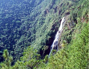 1000 Foot Falls