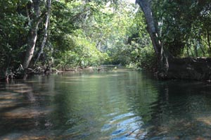 Barton Creek