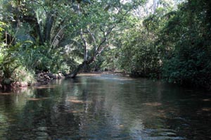 Barton Creek