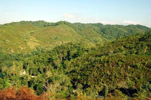 Barton Creek Valley