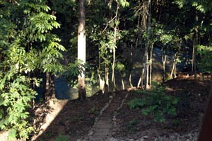 View of Creek from Cabana