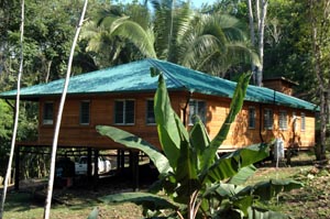 Back of House
