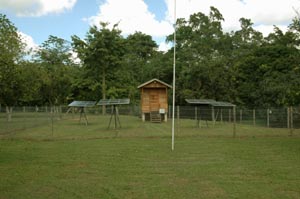 Solar Compound