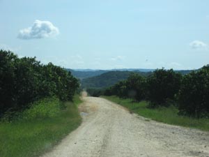 Road to Barton Creek