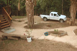 Landscaping around House and Cabana
