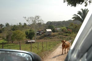 Road through Mennonite Village