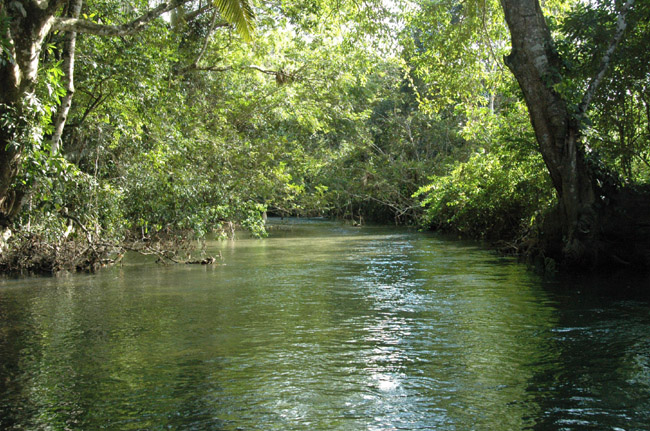 919-bartoncreek-3