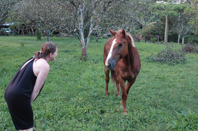 932-klod-horse